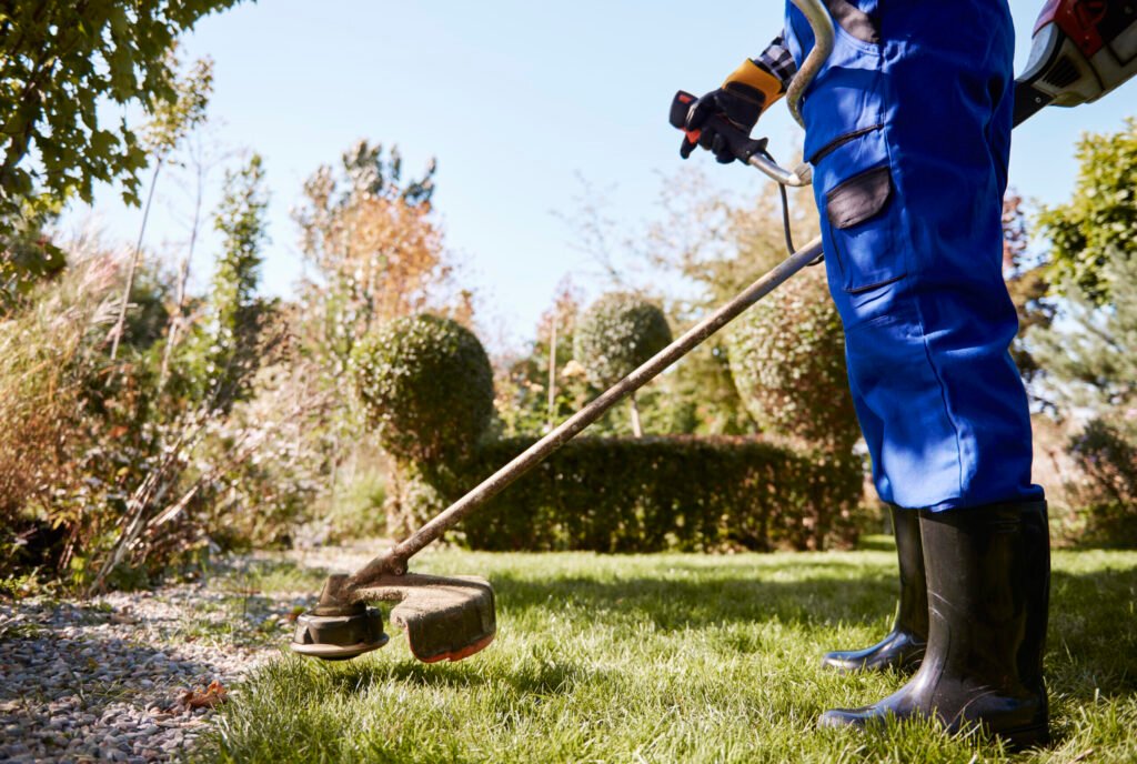 Why Professional Tree Removal Is Essential in Utica, NY