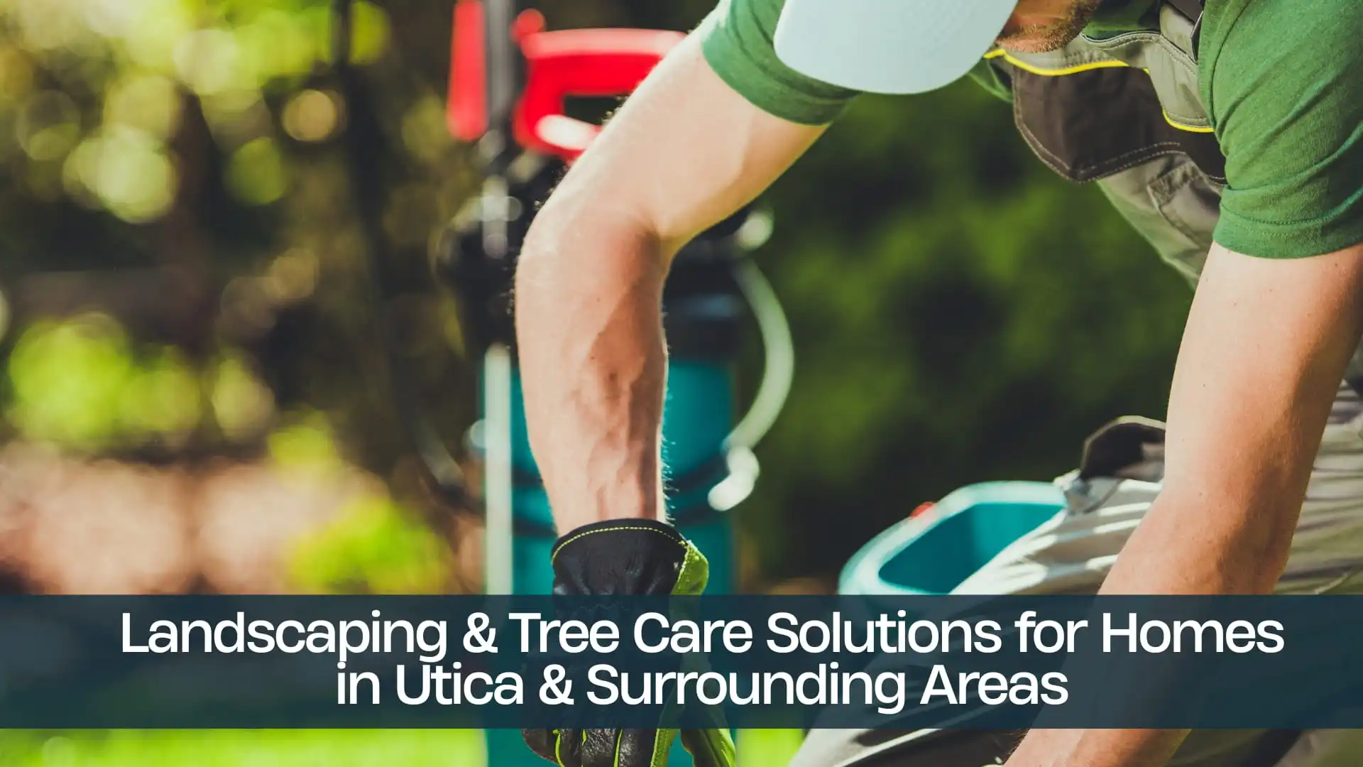 Landscaping & Tree Care Solutions for Homes in Utica & Surrounding Areas (1)